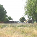 grabbe during